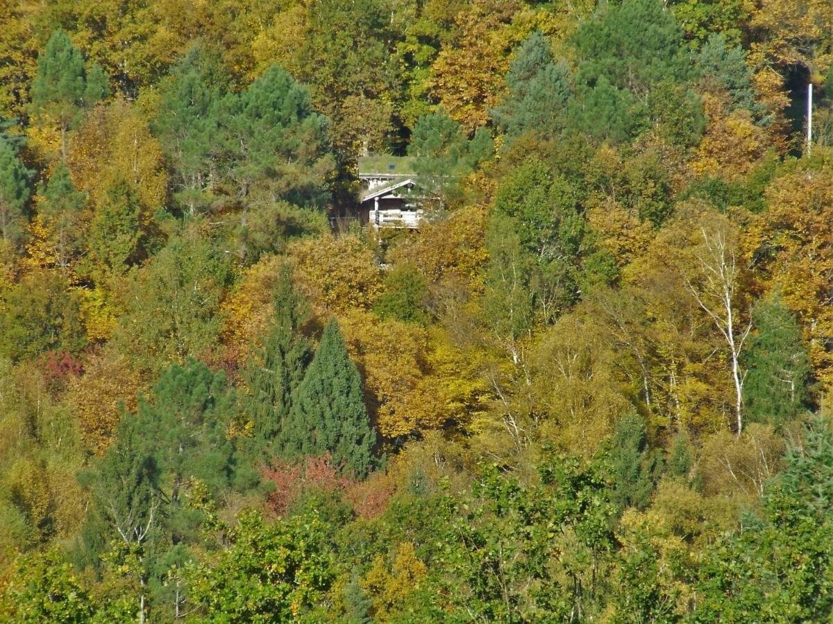 La Cabane De Hans Saint-Martial-de-Gimel المظهر الخارجي الصورة